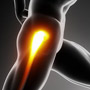 Physical Therapy for Hip